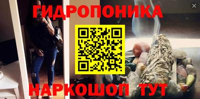стаф Севастополь
