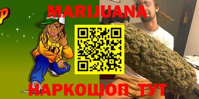 крисы Свободный