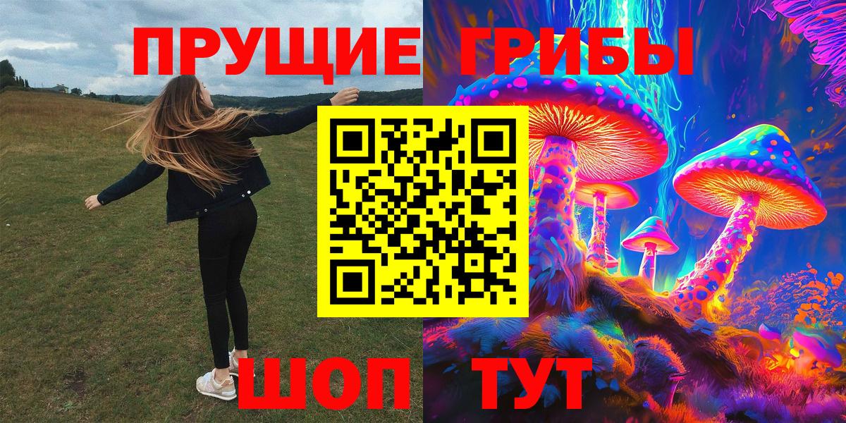 Галлюциногенные грибы GOLDEN TEACHER Новодвинск