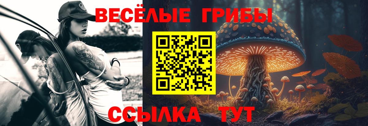 Галлюциногенные грибы Magic Shrooms  Вход с VPN  Новодвинск 